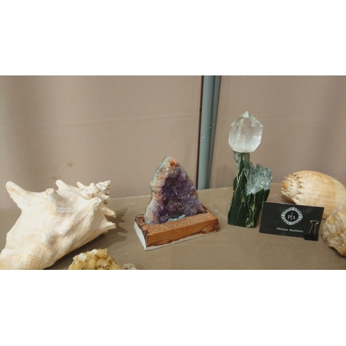 35 - Diverse decorative lot featuring seashells, coral pieces, amethyst geode, crystal points, and a colo... 