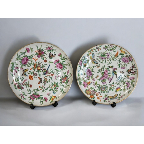 27 - A collection of 18th / 19th century Chinese Famille rose porcelain plates.Largest - 27cm