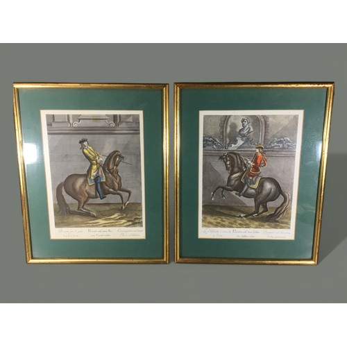 338 - 19th Century Pair of Coloured Engravings of Equestrian interest Dressage Horses.