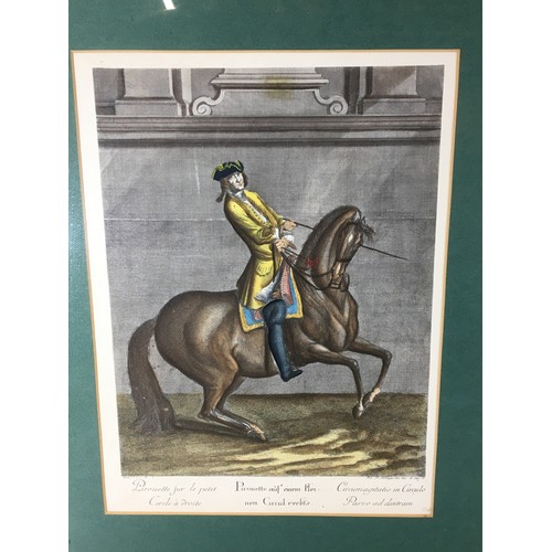 338 - 19th Century Pair of Coloured Engravings of Equestrian interest Dressage Horses.