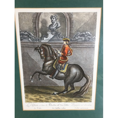 338 - 19th Century Pair of Coloured Engravings of Equestrian interest Dressage Horses.