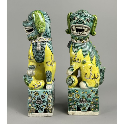 1 - A pair of Chinese Famille Verte porcelain Foo dogs.Qing dynasty, 19th century.Height - 22cm... 