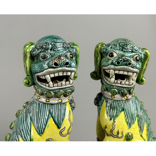 1 - A pair of Chinese Famille Verte porcelain Foo dogs.Qing dynasty, 19th century.Height - 22cm... 