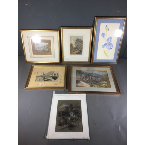 311 - Set of Six 19th Century J. Needham Framed and Glazed Arboreal (Tree) Plates and 6 other Prints and W... 