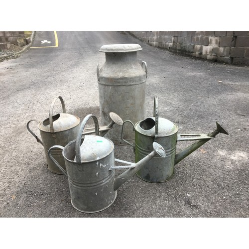 394 - 10 Gallon Lidded Milk Churn Stamped Torrington and 3 x Galvanized Watering Cans.