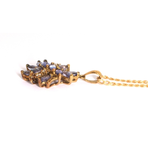 118 - 9ct gold Tanzanite and Diamond cluster pendant necklace on a 9ct gold chain of 40cm