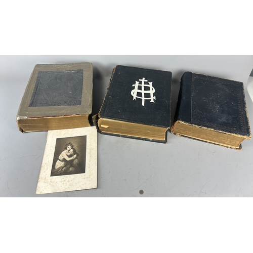 Lot 8         