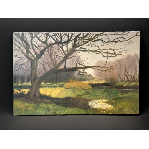Lot 1041      