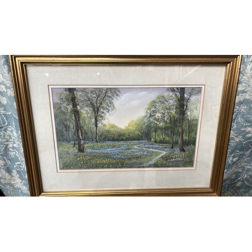 Lot 55        