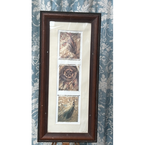 30 - Contemporary colour print triptych depicting fly-fishing lure, reel and feathered streamer, mounted ... 