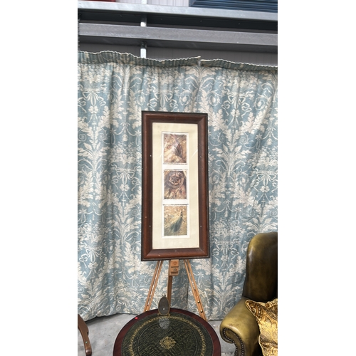 30 - Contemporary colour print triptych depicting fly-fishing lure, reel and feathered streamer, mounted ... 