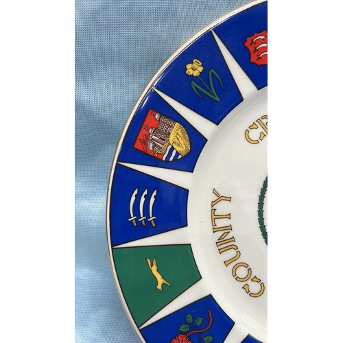 86 - Coalport bone china commemorative plate, ‘County Cricket Champions 1973’, produced for Hampshire Cou... 