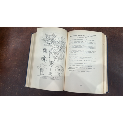 118 - Botanical reference volume “The Species of Rhododendron”, published by The Rhododendron Society, Lon... 