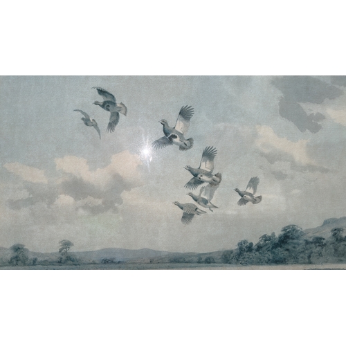 297 - Signed limited edition colour print depicting a covey of grouse in flight above stubble fields, edit... 