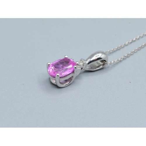 349 - 9ct white gold ladies Pink Sapphire pendant necklace of 1.5cm drop&nbsp; on a 9ct white chain of 46c... 