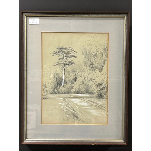 Lot 67        