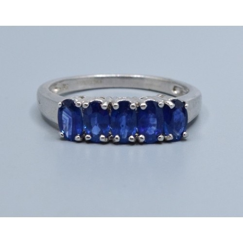 556 - 9ct white gold ladies 5 stone inline Sapphire dress ring held in a claw design size N, 3.3grams