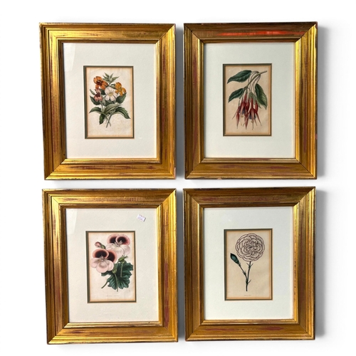 Lot 59        