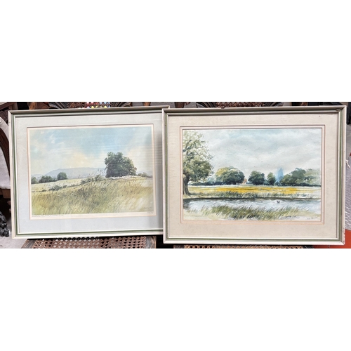 Lot 28        