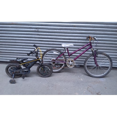 178 - Ladies 10 speed Active mountain Bike and kids bat man bike.