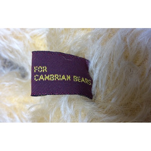 1258 - Cambrian Bears Ltd Limited edition by Diane Morris (dm09) complete with tag.