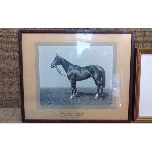 469 - Two framed horse prints including 