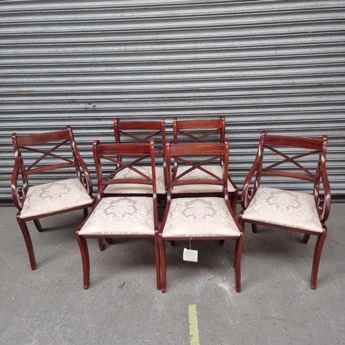 669 - Four dinning chairs and two carvers.