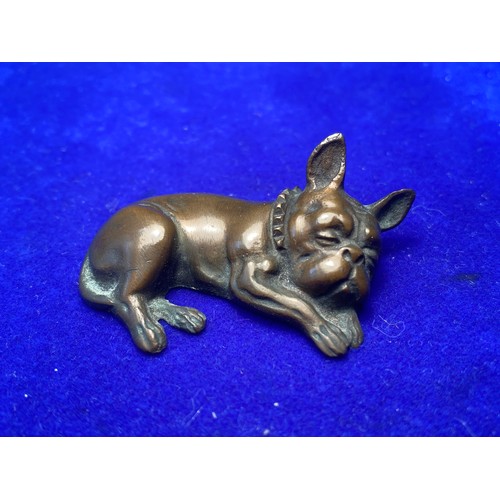 1053 - Miniature Helena bronze French bull dog 45mm long.