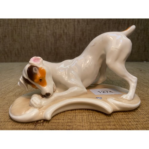 1274 - Nymphenburg fine porcelain Jack Russel dog statue.