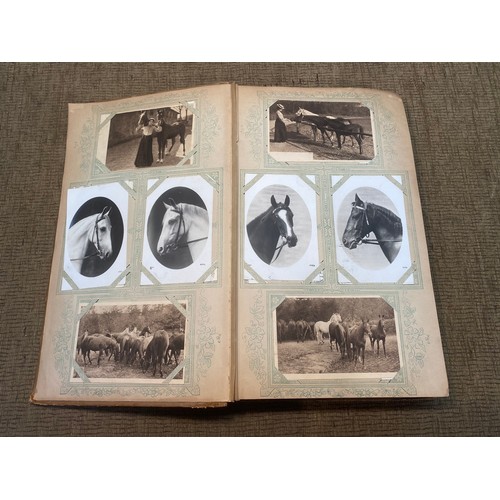 745 - Approx. 200 antique Equestrian postcards in postcard album.