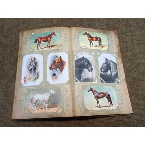 745 - Approx. 200 antique Equestrian postcards in postcard album.