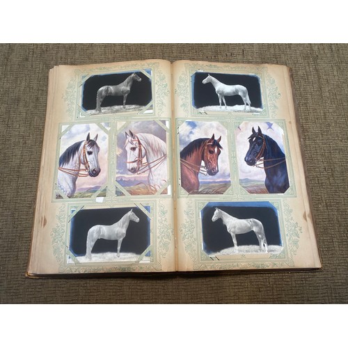 745 - Approx. 200 antique Equestrian postcards in postcard album.