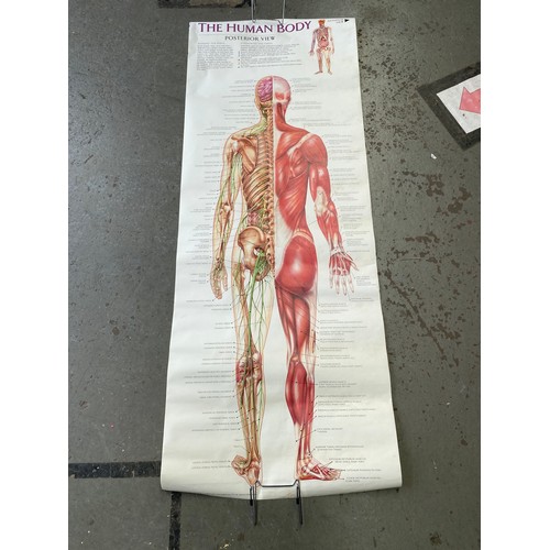 755 - Selection of Medical scientific posters.