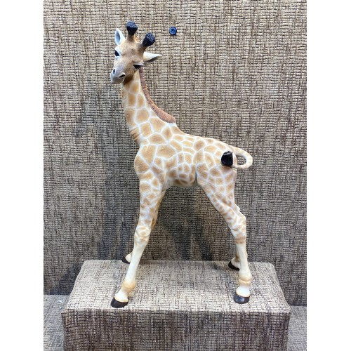 857 - Brookes and Bentley Giraffe statue boxed 40cm.