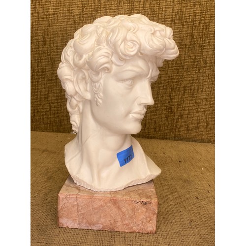 1172 - Large Plaster head bust of Michelangelo's David on a marble base signed G Carwise.