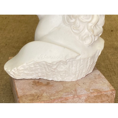 1172 - Large Plaster head bust of Michelangelo's David on a marble base signed G Carwise.