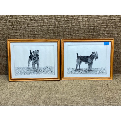 1254 - Two pen sketches of Welsh terriers signed J.Walters 1981.