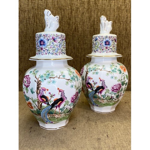 664 - Pair of hand-painted Dutch Delft Porcelain Jars.