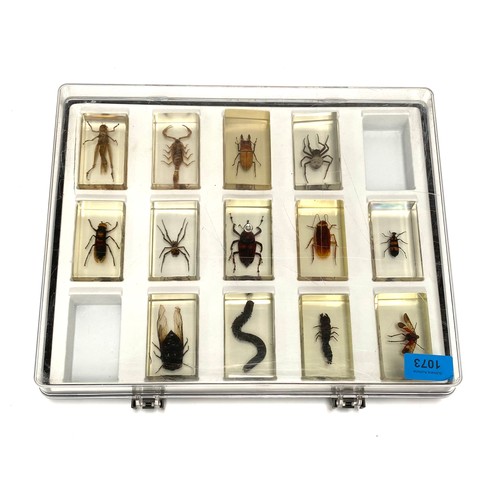 1073 - Set of 12 Taxidermy insects in glass blocks plus a spare collection case.