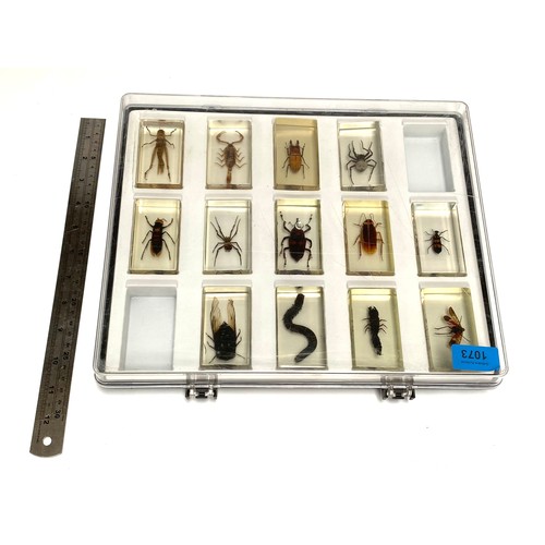 1073 - Set of 12 Taxidermy insects in glass blocks plus a spare collection case.