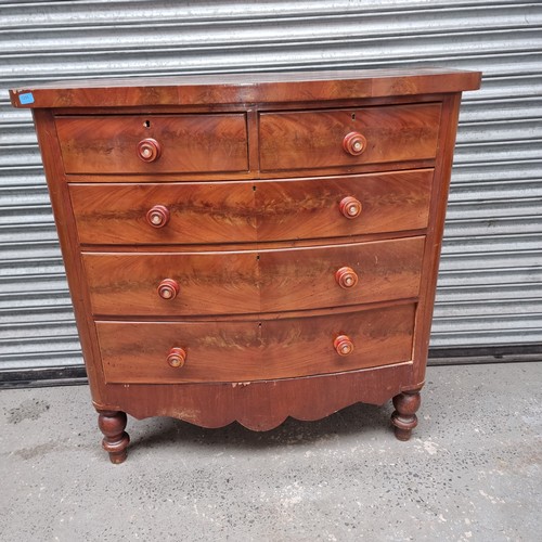 1041 - Solid mahogany bowed chest of draws. 3 over 2.
