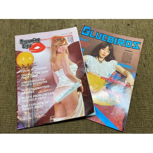 685 - Two erotic magazines including ‘Dreaming Lips’ and ‘New Bluebirds ‘ . Both edition one.