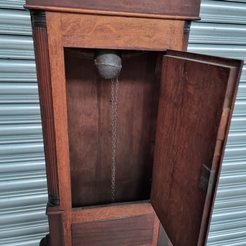 1102 - Antique Rich Webb of Brecon grandfather clock with hand painted face circa 1870 (crack in glass)