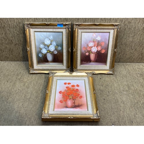 1141 - Three oil on canvas still life paintings signed Robert Coxs.  36 x 31 cm.