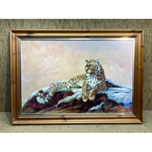 1192 - Large print of a snow leopard basking by Silvia Durin.