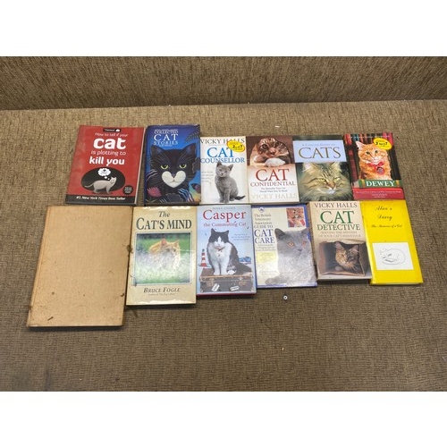 117 - Collection of cat and kitten books.