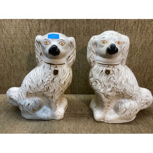 1169 - A pair of large fireside dogs; 40cm tall.