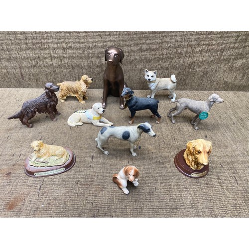 270 - Mixed selection of dogs including golden retriever, Doberman