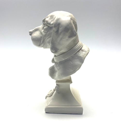 746 - Dog bust 22cm