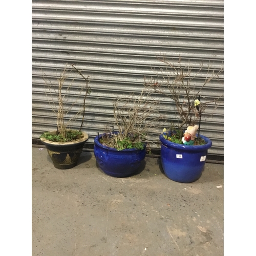 136 - Three glazed garden plant pots